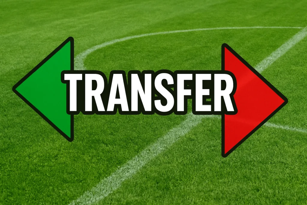Transfery ogólny obrazek 15